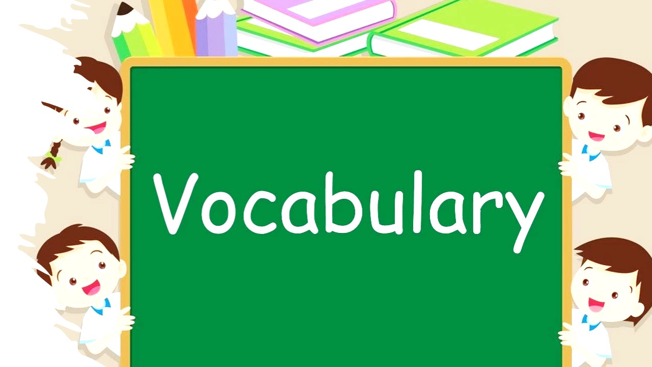 vocabulary 