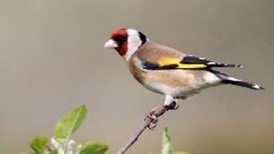 Picture1.jpg