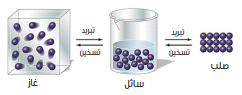 Picture9.png