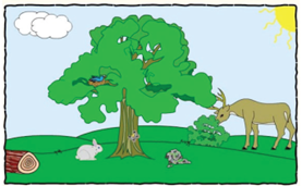 2.png