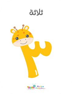 رمز العدد