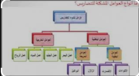 مفاهيم